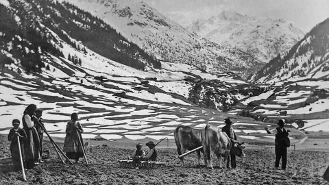 Das foto in schwarz weiss zeigt Menschen auf einem Feld im Frühling. Sie bestellen das Feld. Im Hintergrund kann man die Berge in Richtung Lukmanierpass erkennen. . 