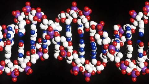 DNA-Moleküle