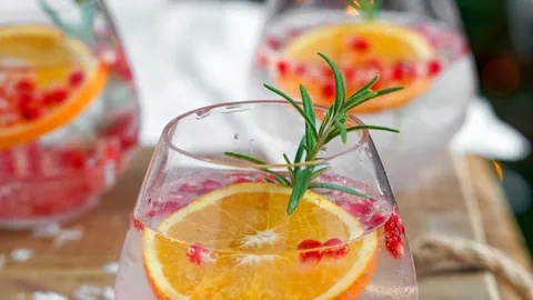 Rezept Apéro Weihnachten: Winter Gin Tonic mit Granatapfel