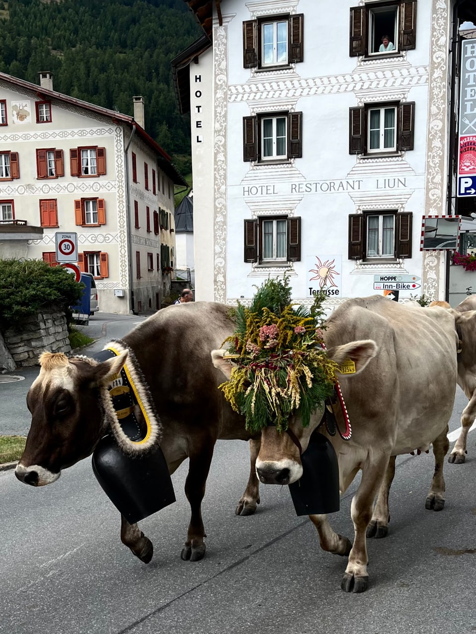 Alpabzug im Müstair