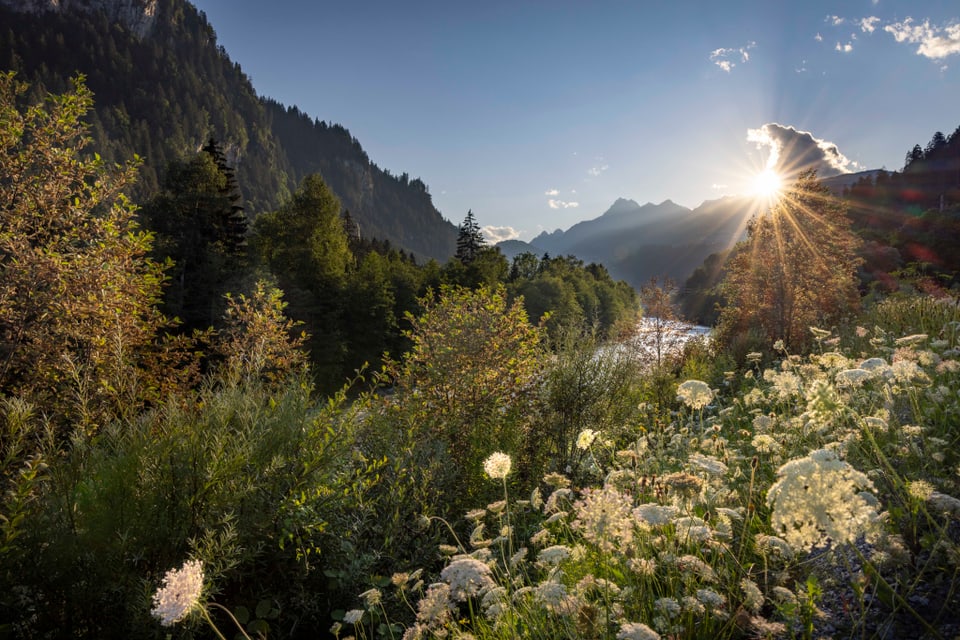 Sonnenaufgang über einer Berglandschaft mit Blumenwiese.