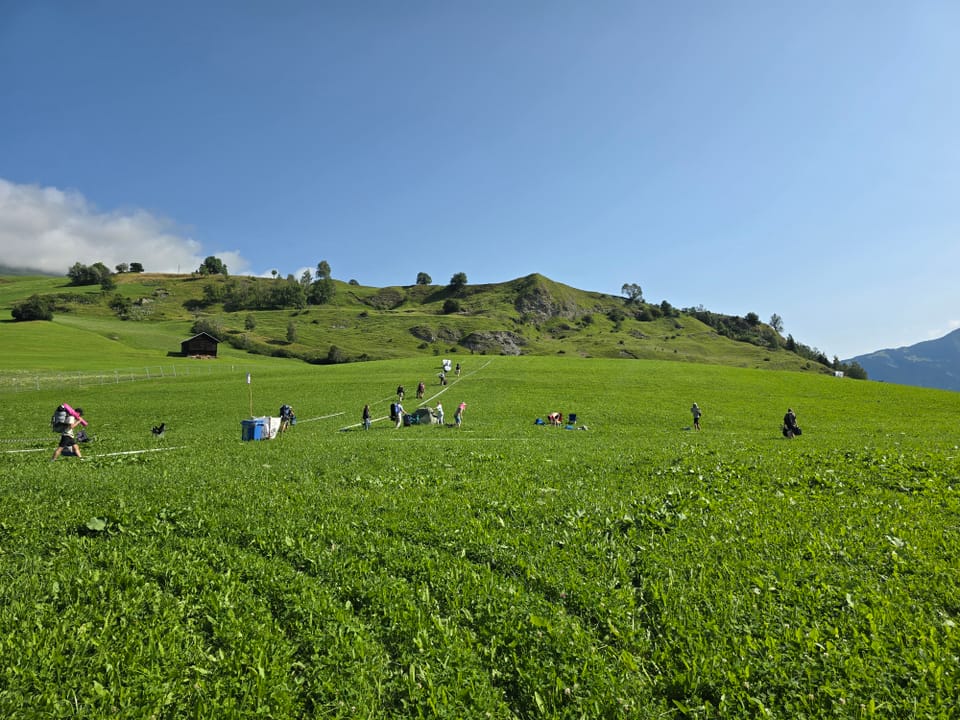 Leute ernten auf einem grünen Feld mit Hügeln im Hintergrund.