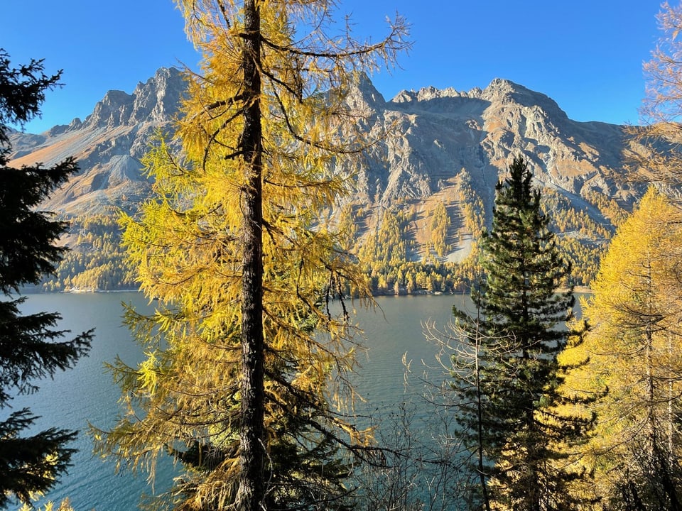 Berge und Bäume mit See im Vordergrund.