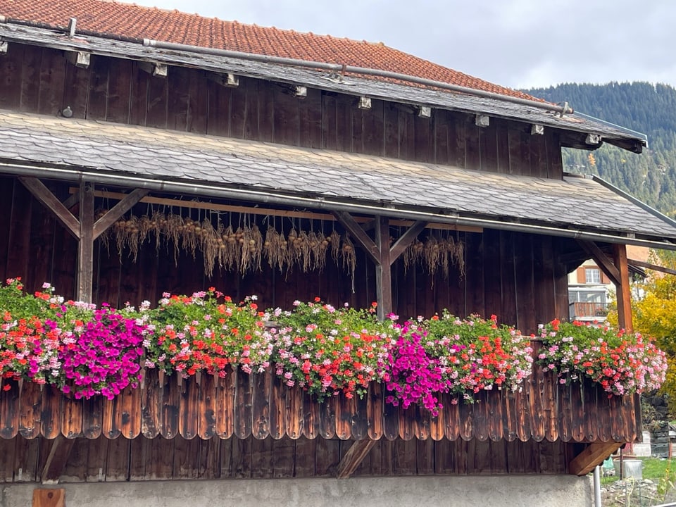 Holzhaus mit bunten Blumen auf dem Balkon.