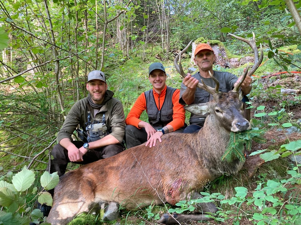 Drei Männer mit erlegtem Hirsch im Wald.