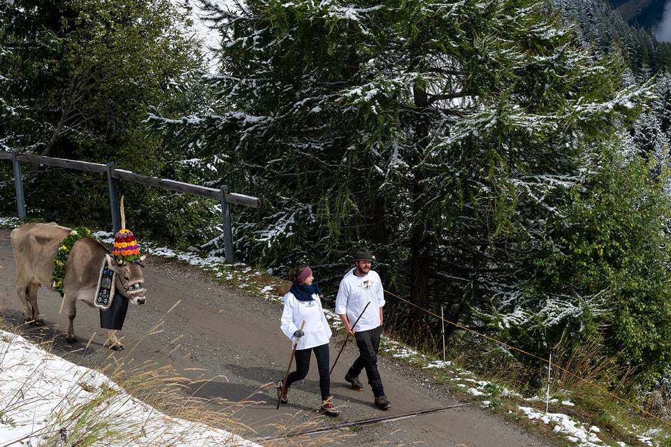 Alpabzug Graubünden  Vals