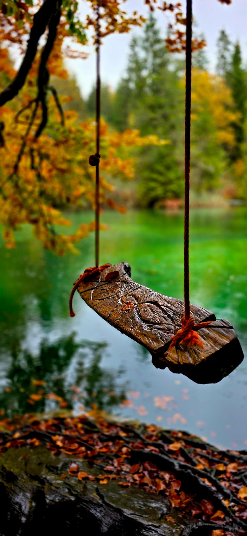 Holzschaukel über einem See im Herbst.