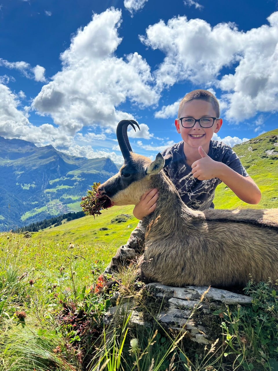 Junge mit Daumen hoch neben einem Bergziege in einer Alpinlandschaft.