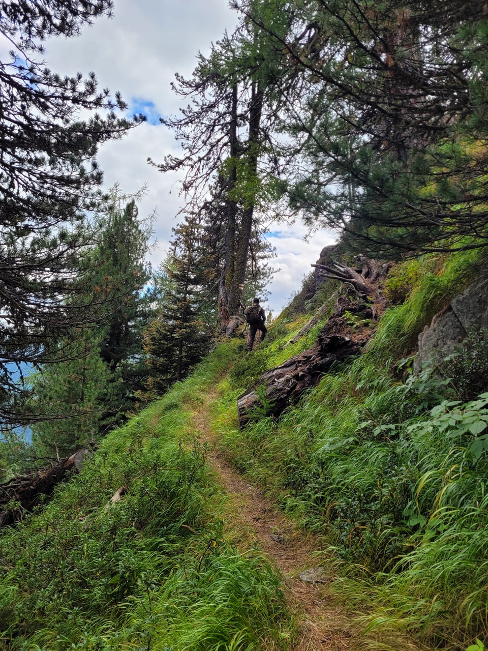 Wanderer auf einem schmalen Waldweg im Gebirge.