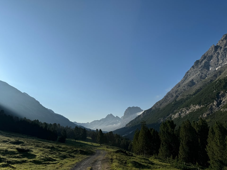 Berglandschaft im Sonnenschein mit Pfad und Bäumen.