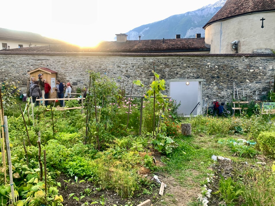 Nebst der Gartenarbeit wird auch viel diskutiert und sich ausgetauscht.