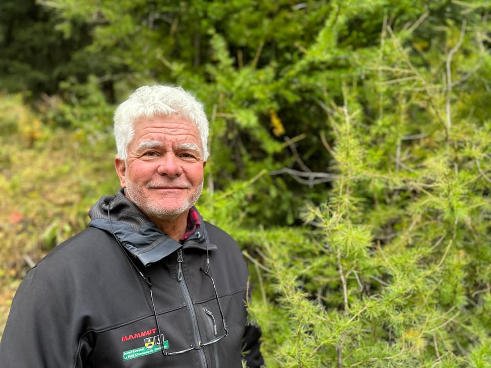 Älterer Mann mit grauen Haaren vor grünem Wald.