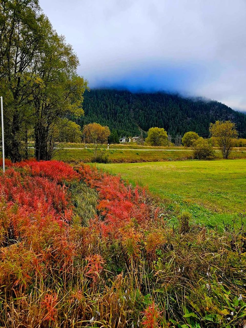 Herbstlandschaft mit buntem Laub und Berg im Nebel.