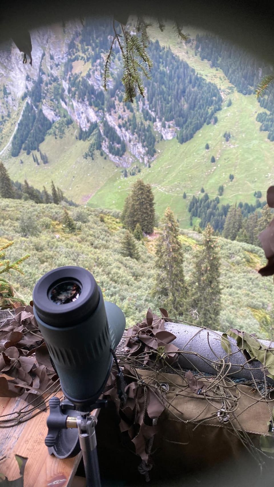 Aussicht von einem Hochsitz mit Fernglas auf ein grünes Tal.