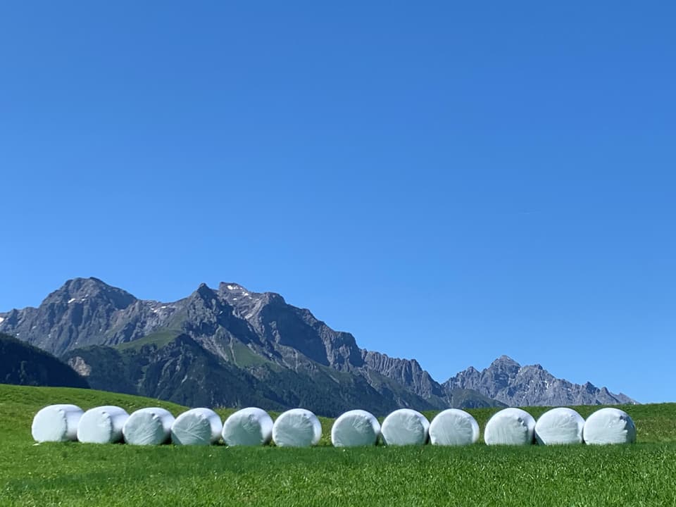 Sommer auf der Motta bei Ramonsch