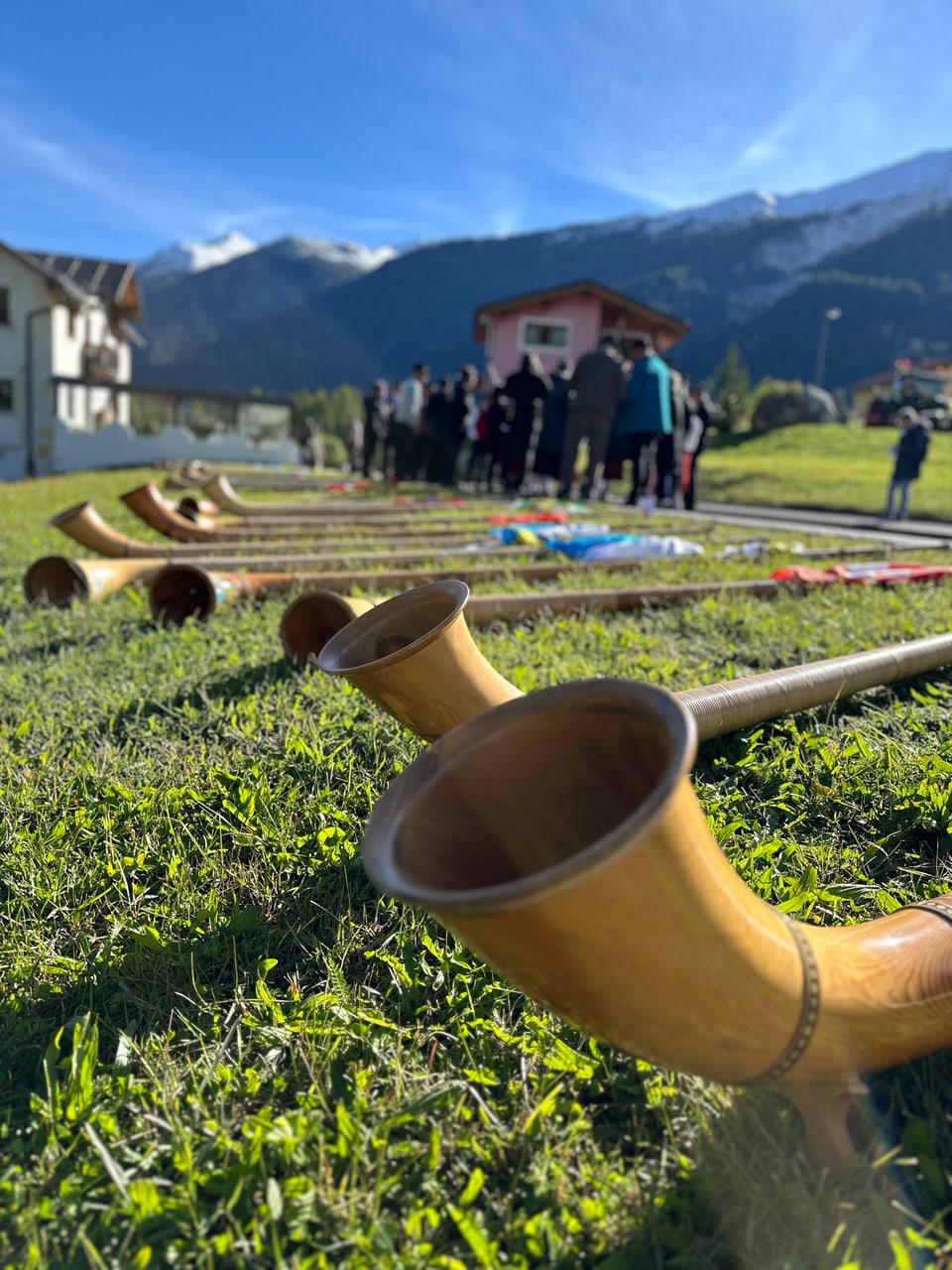 Alphörner auf einer Wiese, Berge im Hintergrund.