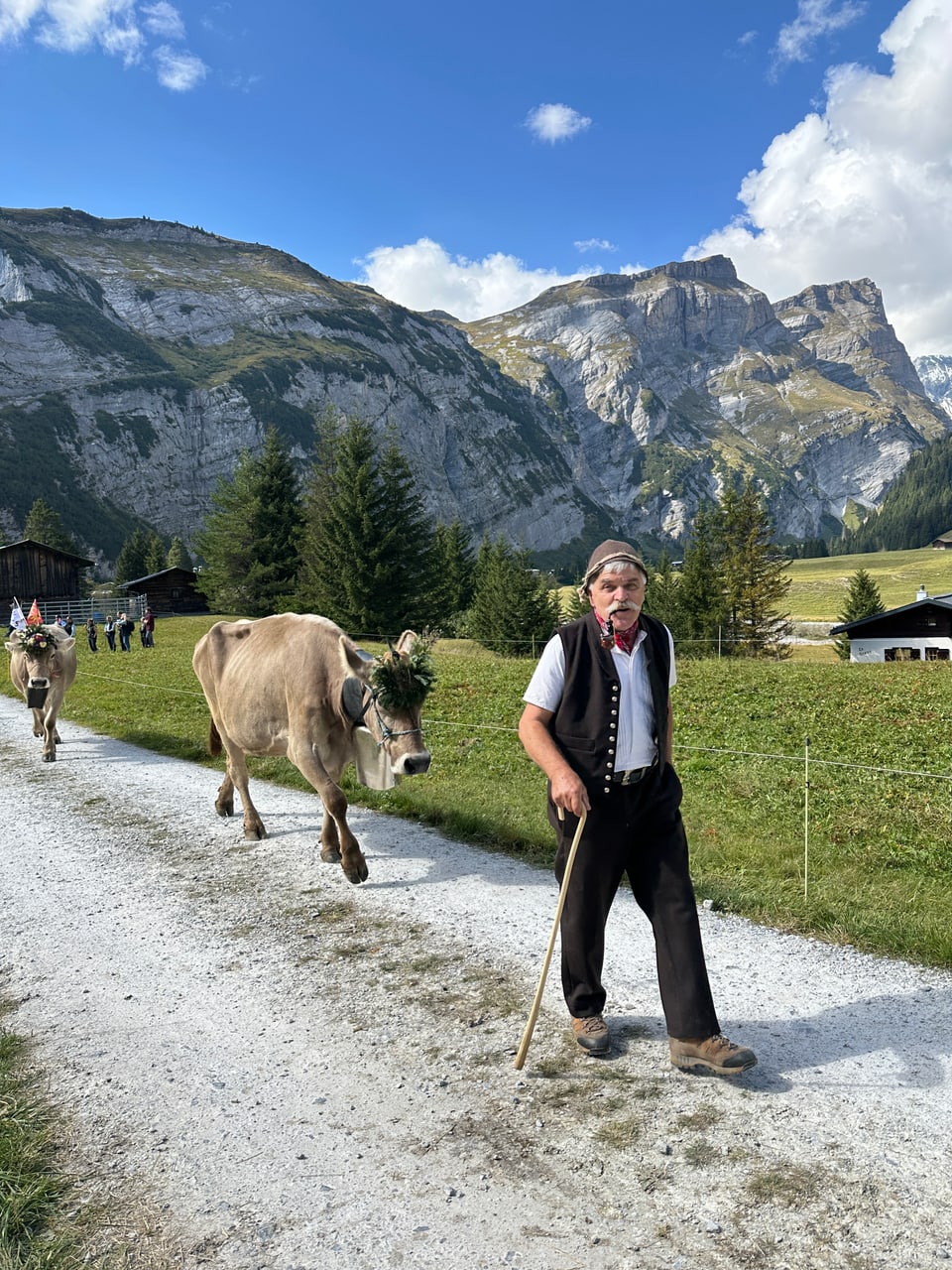 Alpabzug Graubünden Bargis