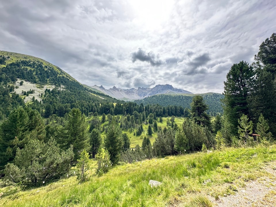 Aussicht auf dem Constainas pass. 