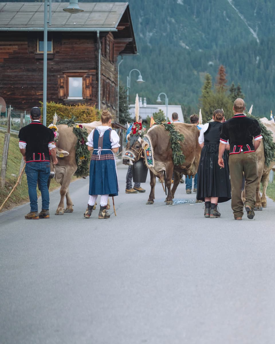 Alpabzug Graubünden Fidaz