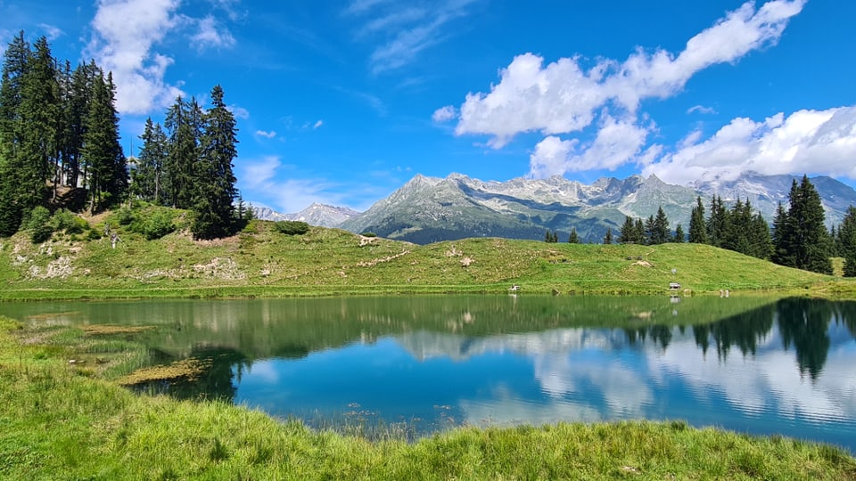 Bergsee mit grünen Wiesen und Bergen im Hintergrund.