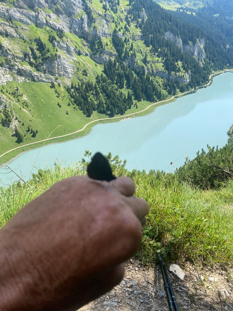 Person hält einen Schmetterling mit Blick auf einen Bergsee im Hintergrund.