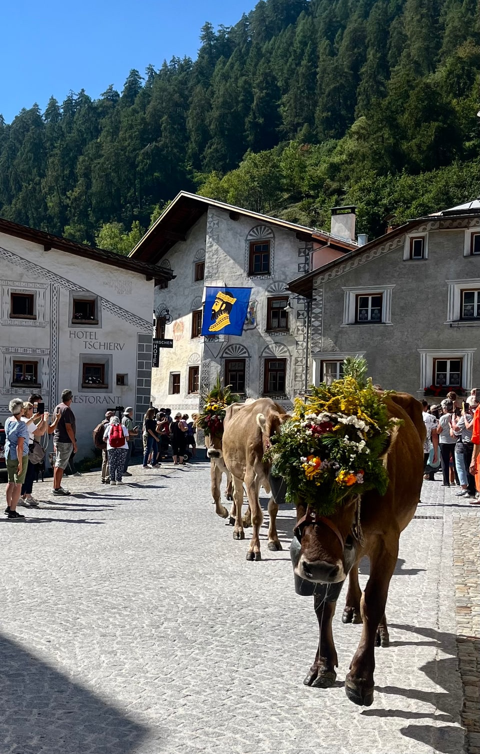 Alpabzug Graubünden Müstair