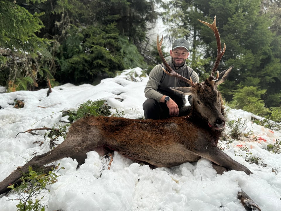 Mann kniet hinter einem erlegten Hirsch im Schnee.