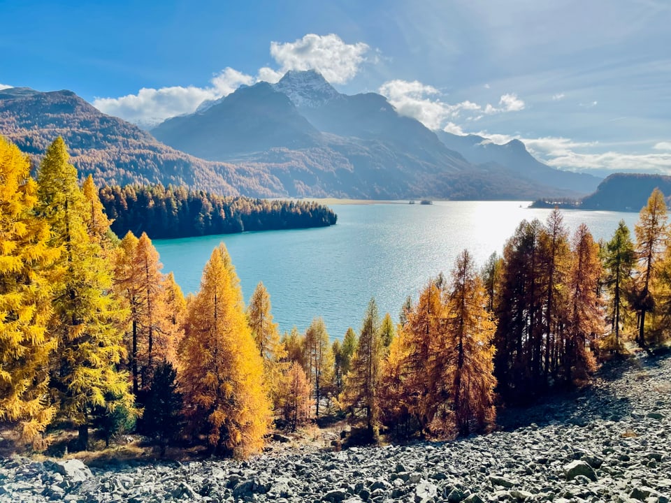 Herbstliche Landschaft