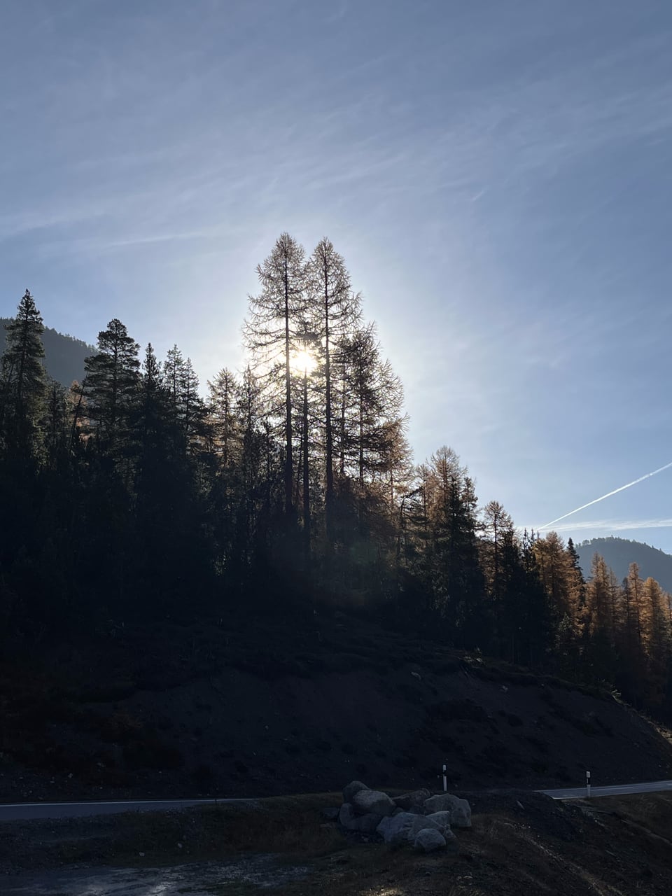 Sonne hinter Bäumen am Berghang.