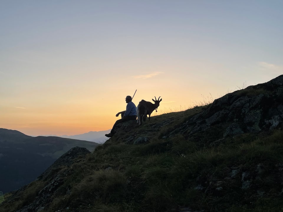 Person und Bergziege im Sonnenuntergang auf Berggipfel.