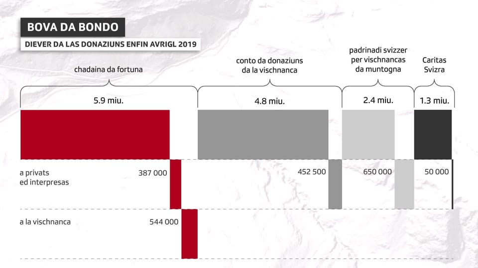 Illustraziun da las donaziuns 