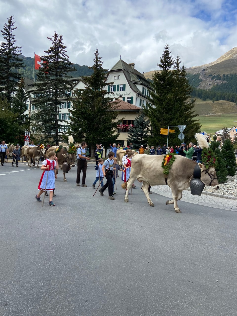 Alpabzug Graubünden Celerina