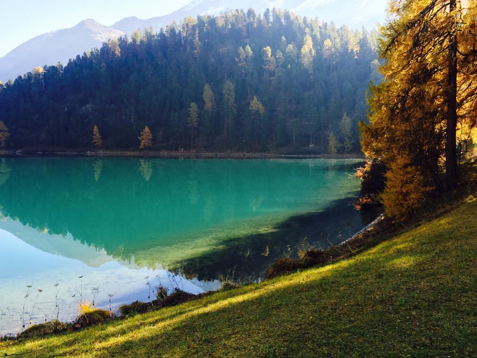 Klarer Bergsee mit Herbstbäumen im Hintergrund.