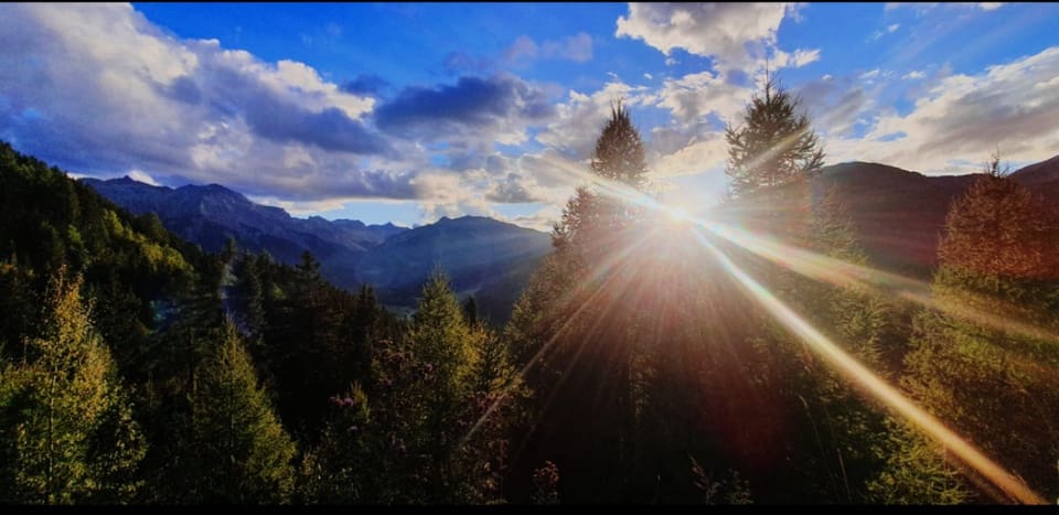 Sonnenaufgang über einem alpinen Wald.