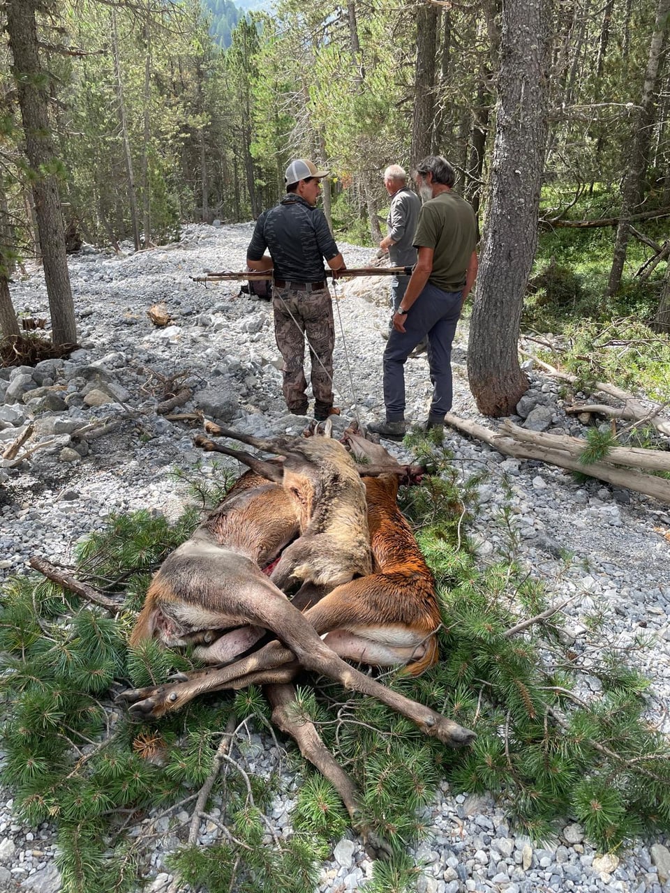 Mehrere Jäger beim beschwerlichen Transport der Jagdbeute durch unwegsames Gelände.