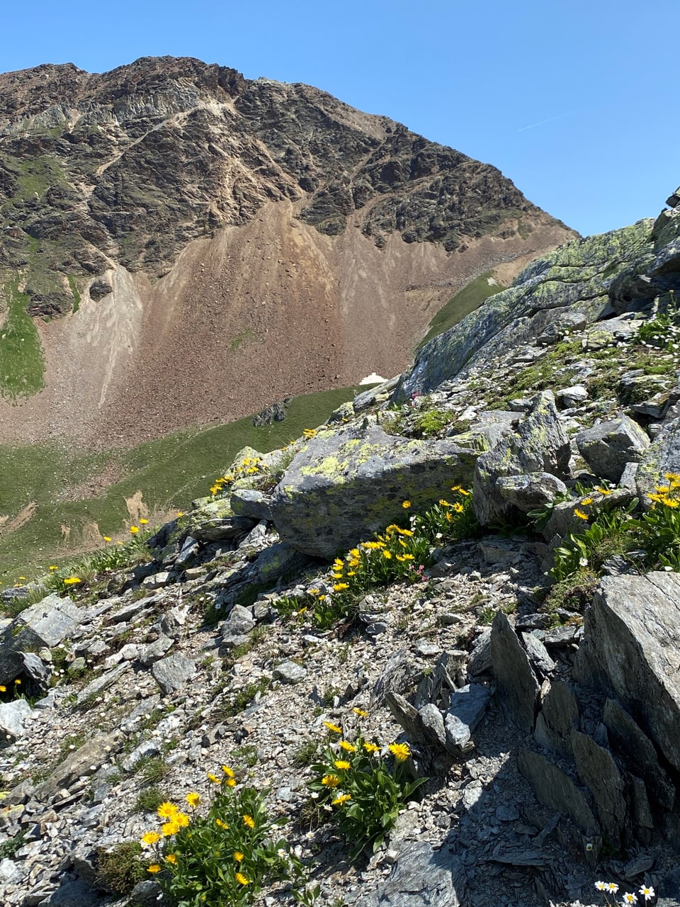 Berglandschaft mit Felsen und Wildblumen unter klarem Himmel.