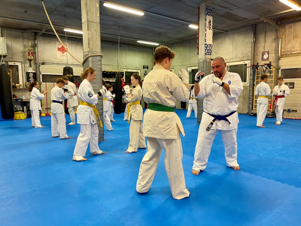 Karatekurs in einer Sporthalle, mehrere Personen im Karate-Gi trainieren.