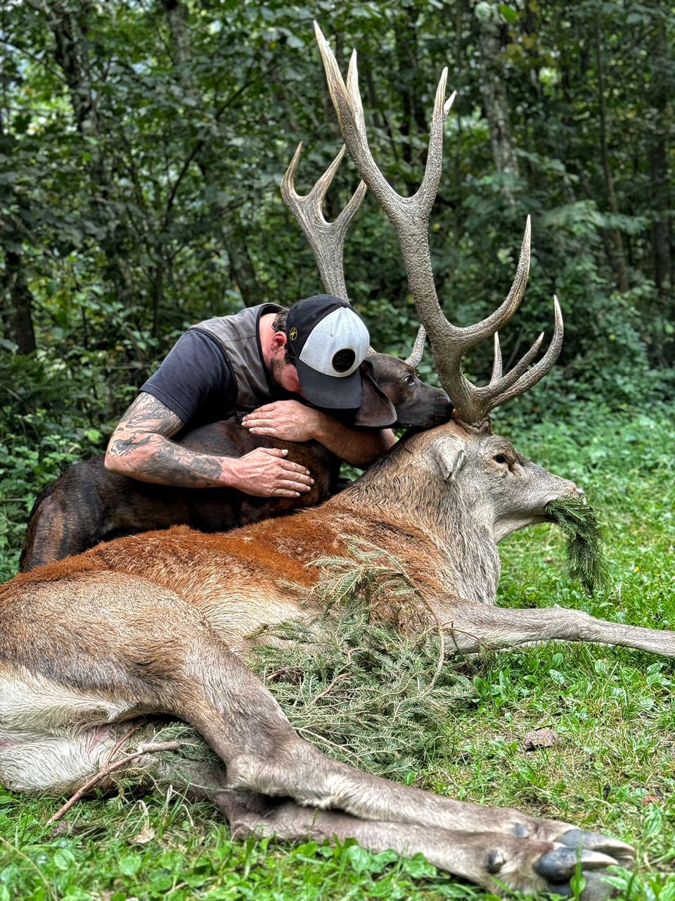 Jäger mit Hund und Hirsch.