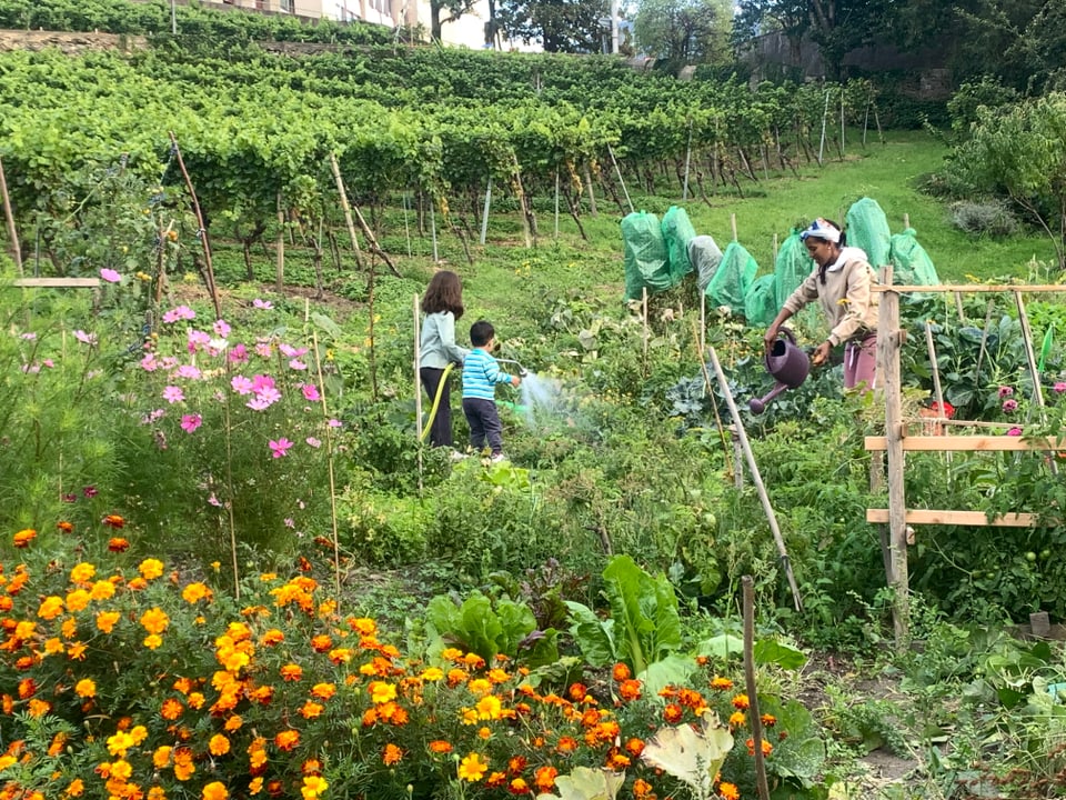 Gross und klein helfen mit bei der Gartenarbeit.