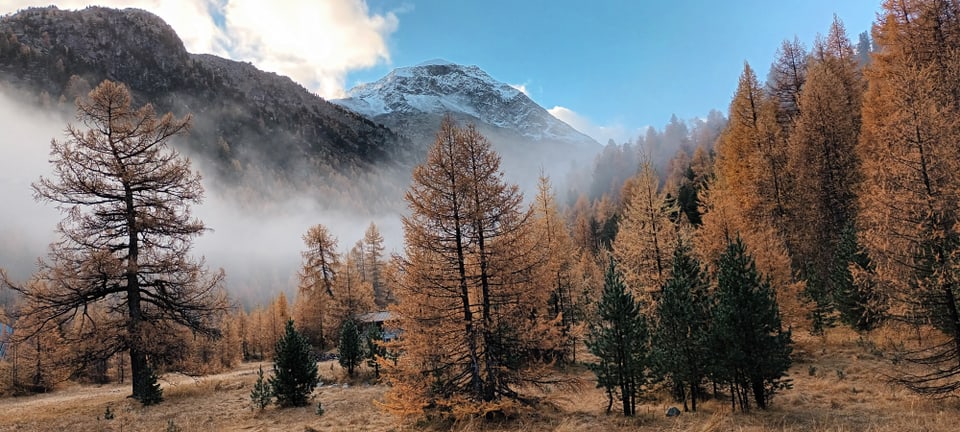 Herbstfotografie