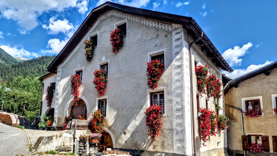 Historisches Gebäude mit roten Blumendekorationen an den Fenstern.