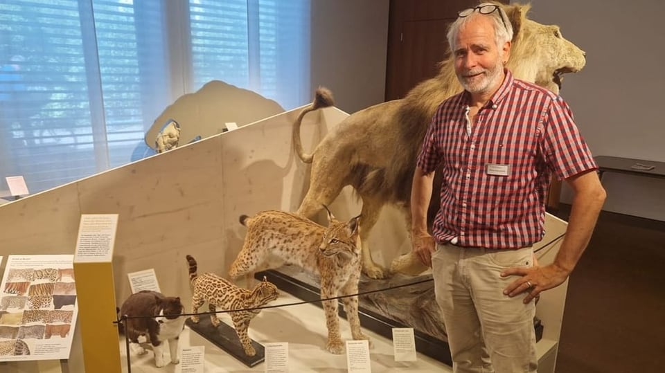 Ein Mann steht vor einem Museumsexponat mit mehreren ausgestopften Tieren.