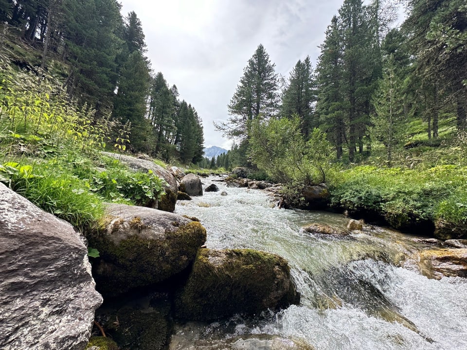 Fluss auf dem Constainas pass. 