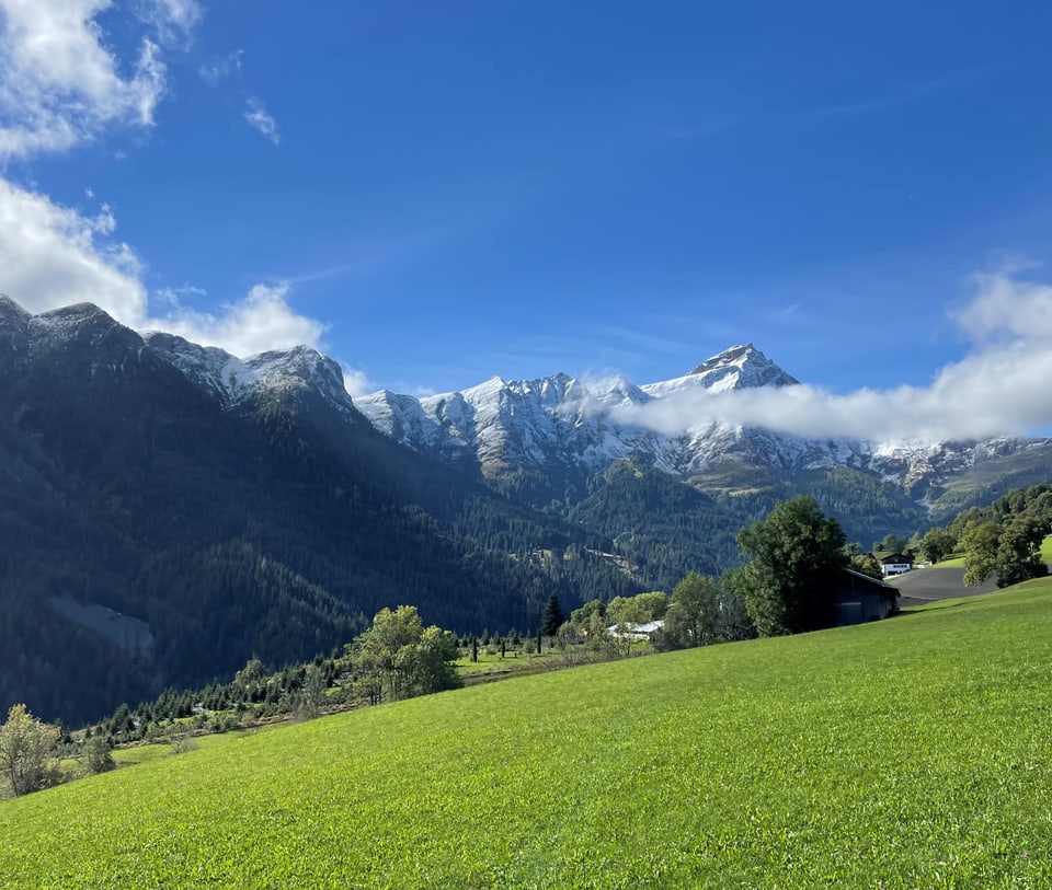 Grüne Wiese mit Bergen im Hintergrund an einem sonnigen Tag.