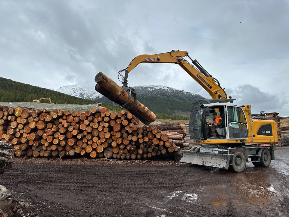 Bagger verlädt Holzstämme vor Bergen.