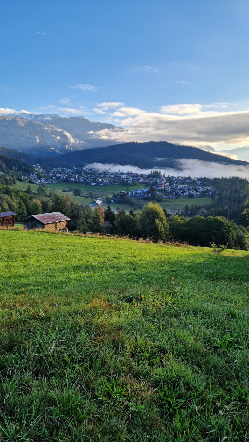 Blick auf ein Dorf in den Alpen mit grünen Wiesen und Bergen im Hintergrund.