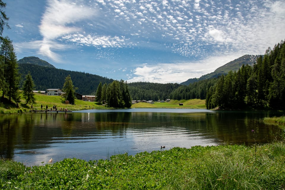 Ruhiger See in den Bergen, umgeben von Bäumen und Wiesen.