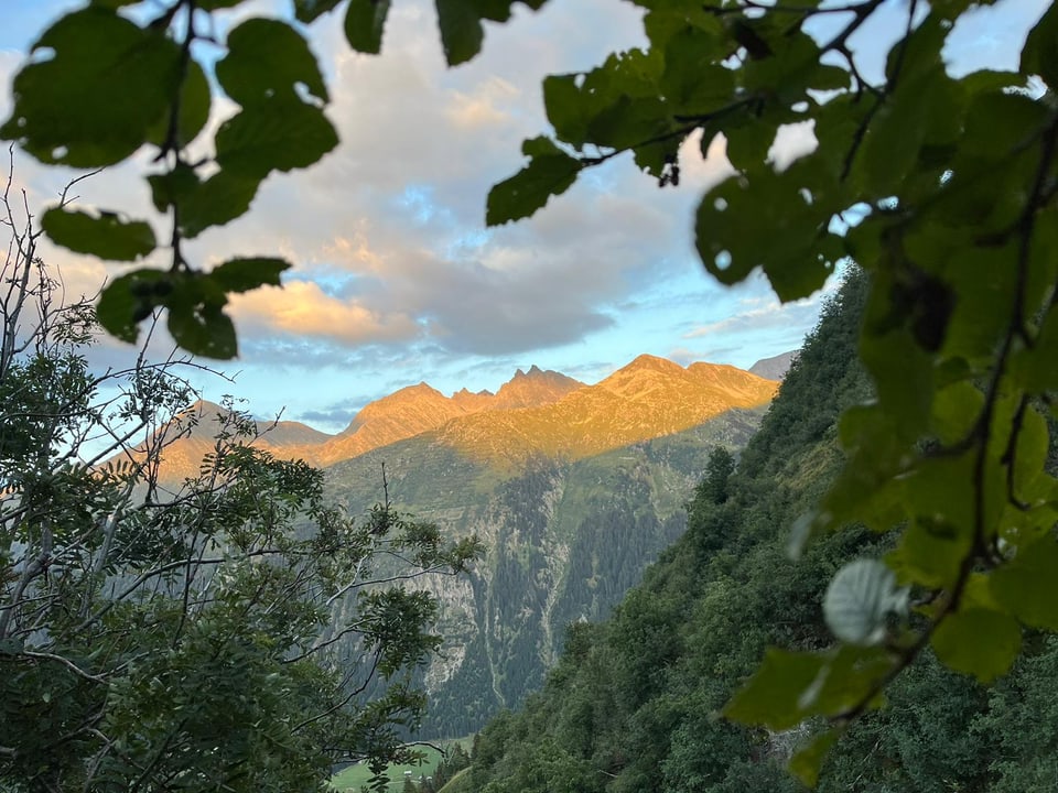 Blick durch Bäume auf Berglandschaft bei Sonnenuntergang.