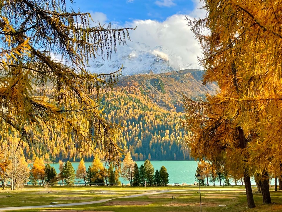 Herbstliche Landschaft mit Berg, See und bunten Bäumen.