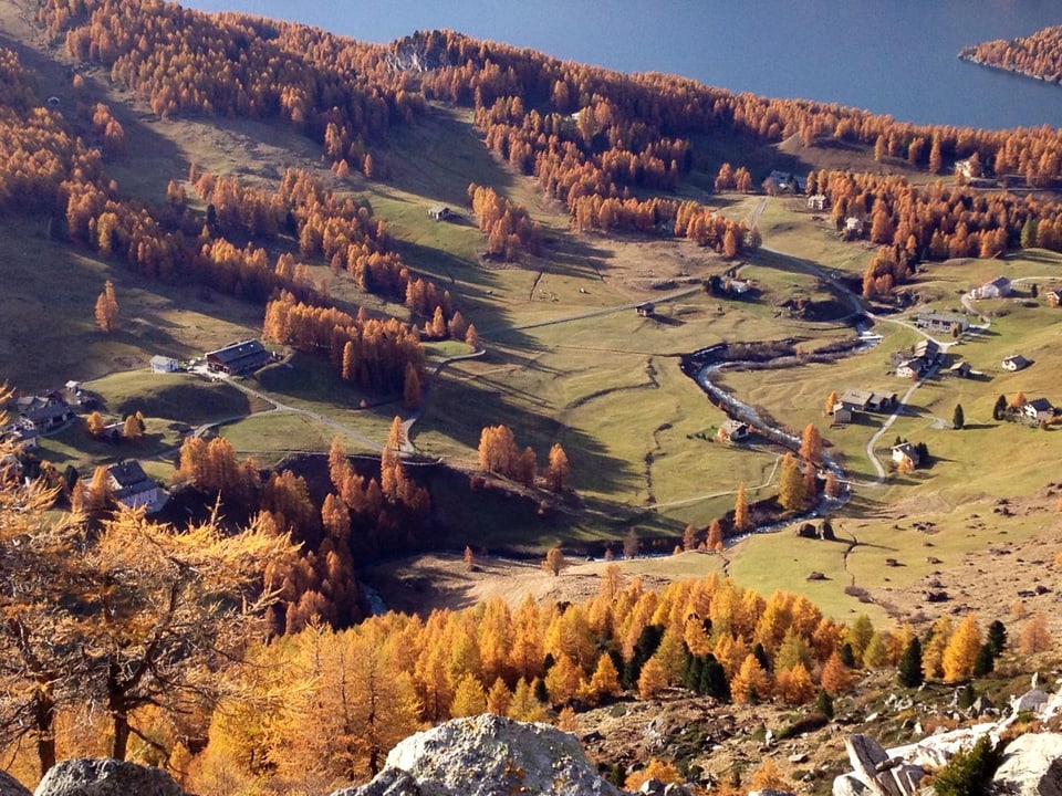 Herbstlandschaft mit Bäumen, Wiesen und See.